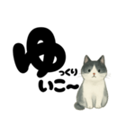 【やさしめ】白黒ねこの元気ことば（個別スタンプ：6）