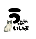 【やさしめ】白黒ねこの元気ことば（個別スタンプ：10）
