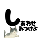 【やさしめ】白黒ねこの元気ことば（個別スタンプ：12）