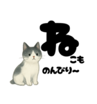 【やさしめ】白黒ねこの元気ことば（個別スタンプ：13）