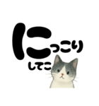 【やさしめ】白黒ねこの元気ことば（個別スタンプ：14）