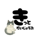 【やさしめ】白黒ねこの元気ことば（個別スタンプ：16）