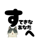 【やさしめ】白黒ねこの元気ことば（個別スタンプ：17）