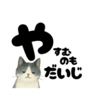 【やさしめ】白黒ねこの元気ことば（個別スタンプ：18）