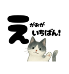 【やさしめ】白黒ねこの元気ことば（個別スタンプ：19）