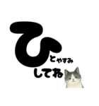 【やさしめ】白黒ねこの元気ことば（個別スタンプ：20）