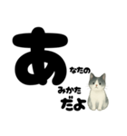 【やさしめ】白黒ねこの元気ことば（個別スタンプ：21）