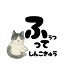 【やさしめ】白黒ねこの元気ことば（個別スタンプ：23）