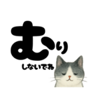 【やさしめ】白黒ねこの元気ことば（個別スタンプ：24）