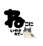 【やさしめ】白黒ねこの元気ことば（個別スタンプ：26）
