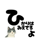 【やさしめ】白黒ねこの元気ことば（個別スタンプ：27）