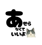 【やさしめ】白黒ねこの元気ことば（個別スタンプ：28）