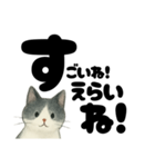 【やさしめ】白黒ねこの元気ことば（個別スタンプ：30）