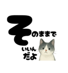 【やさしめ】白黒ねこの元気ことば（個別スタンプ：32）