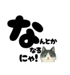 【やさしめ】白黒ねこの元気ことば（個別スタンプ：33）