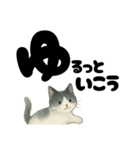 【やさしめ】白黒ねこの元気ことば（個別スタンプ：34）
