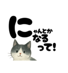 【やさしめ】白黒ねこの元気ことば（個別スタンプ：35）