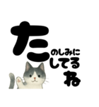 【やさしめ】白黒ねこの元気ことば（個別スタンプ：36）