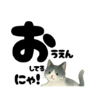 【やさしめ】白黒ねこの元気ことば（個別スタンプ：37）