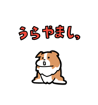 日常でも使える！ボーダーコリー！白赤（個別スタンプ：7）