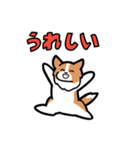 日常でも使える！ボーダーコリー！白赤（個別スタンプ：8）
