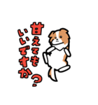 日常でも使える！ボーダーコリー！白赤（個別スタンプ：9）