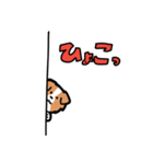 日常でも使える！ボーダーコリー！白赤（個別スタンプ：14）