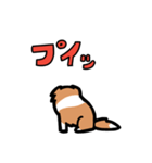 日常でも使える！ボーダーコリー！白赤（個別スタンプ：15）