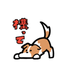 日常でも使える！ボーダーコリー！白赤（個別スタンプ：19）