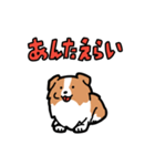 日常でも使える！ボーダーコリー！白赤（個別スタンプ：21）