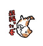日常でも使える！ボーダーコリー！白赤（個別スタンプ：22）