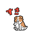 日常でも使える！ボーダーコリー！白赤（個別スタンプ：31）