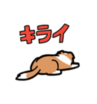 日常でも使える！ボーダーコリー！白赤（個別スタンプ：32）