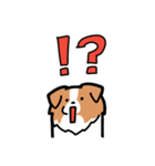 日常でも使える！ボーダーコリー！白赤（個別スタンプ：33）