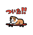 日常でも使える！ボーダーコリー！白赤（個別スタンプ：37）