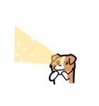 日常でも使える！ボーダーコリー！白赤（個別スタンプ：38）