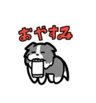 日常でも使える！ボーダーコリー！青白（個別スタンプ：2）