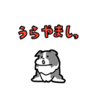 日常でも使える！ボーダーコリー！青白（個別スタンプ：7）