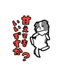 日常でも使える！ボーダーコリー！青白（個別スタンプ：9）