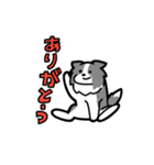 日常でも使える！ボーダーコリー！青白（個別スタンプ：10）