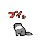 日常でも使える！ボーダーコリー！青白（個別スタンプ：15）