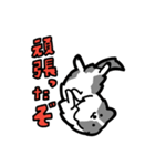 日常でも使える！ボーダーコリー！青白（個別スタンプ：22）