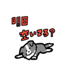 日常でも使える！ボーダーコリー！青白（個別スタンプ：26）