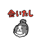 日常でも使える！ボーダーコリー！青白（個別スタンプ：29）