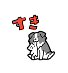 日常でも使える！ボーダーコリー！青白（個別スタンプ：31）