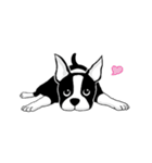 Doggy Daily 〜動くスタンプ〜（個別スタンプ：7）