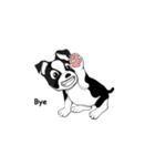 Doggy Daily 〜動くスタンプ〜（個別スタンプ：11）