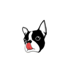 Doggy Daily 〜動くスタンプ〜（個別スタンプ：15）