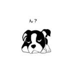 Doggy Daily 〜動くスタンプ〜（個別スタンプ：16）