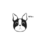 Doggy Daily 〜動くスタンプ〜（個別スタンプ：17）